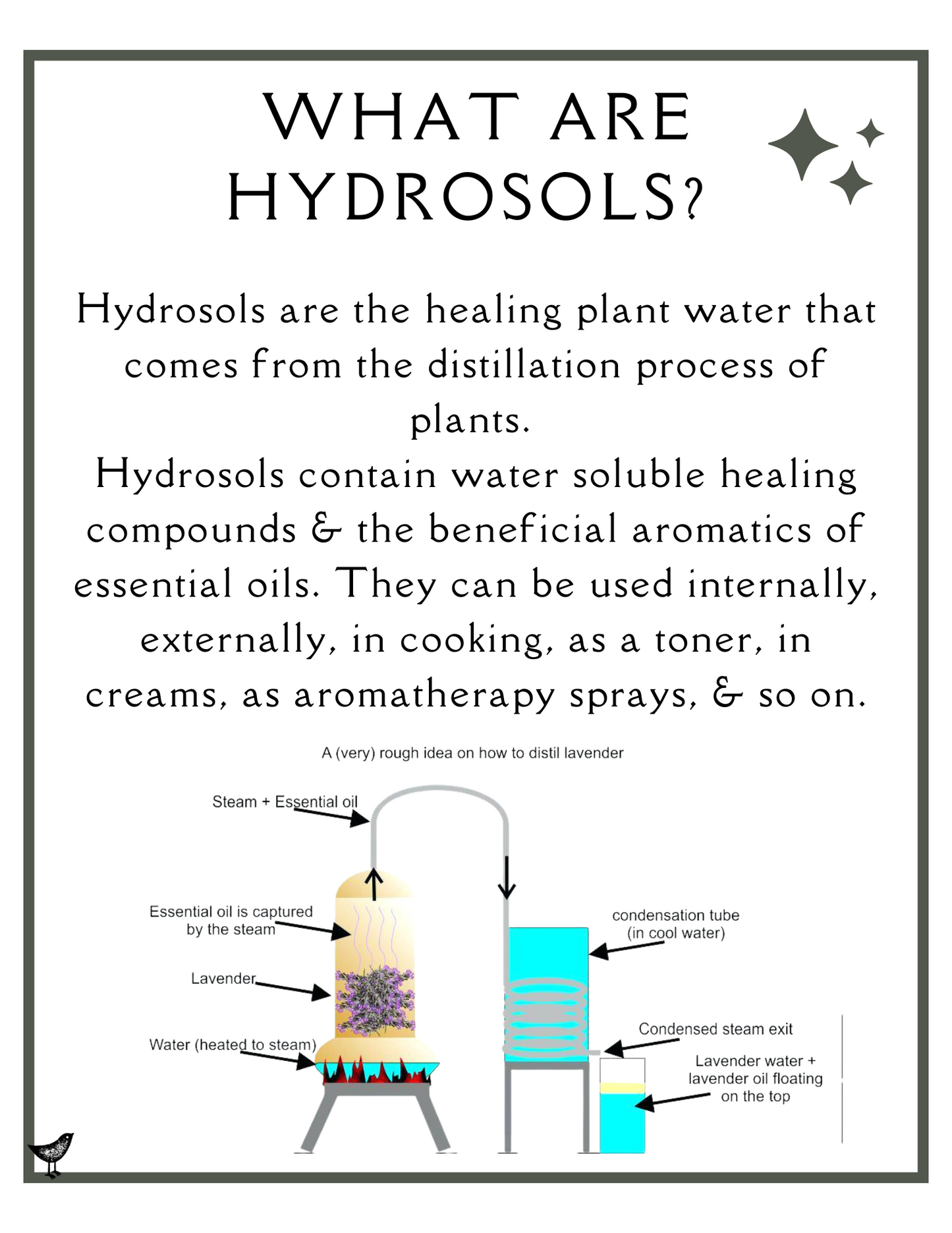 Calm Spray - Holy Basil Hydrosol