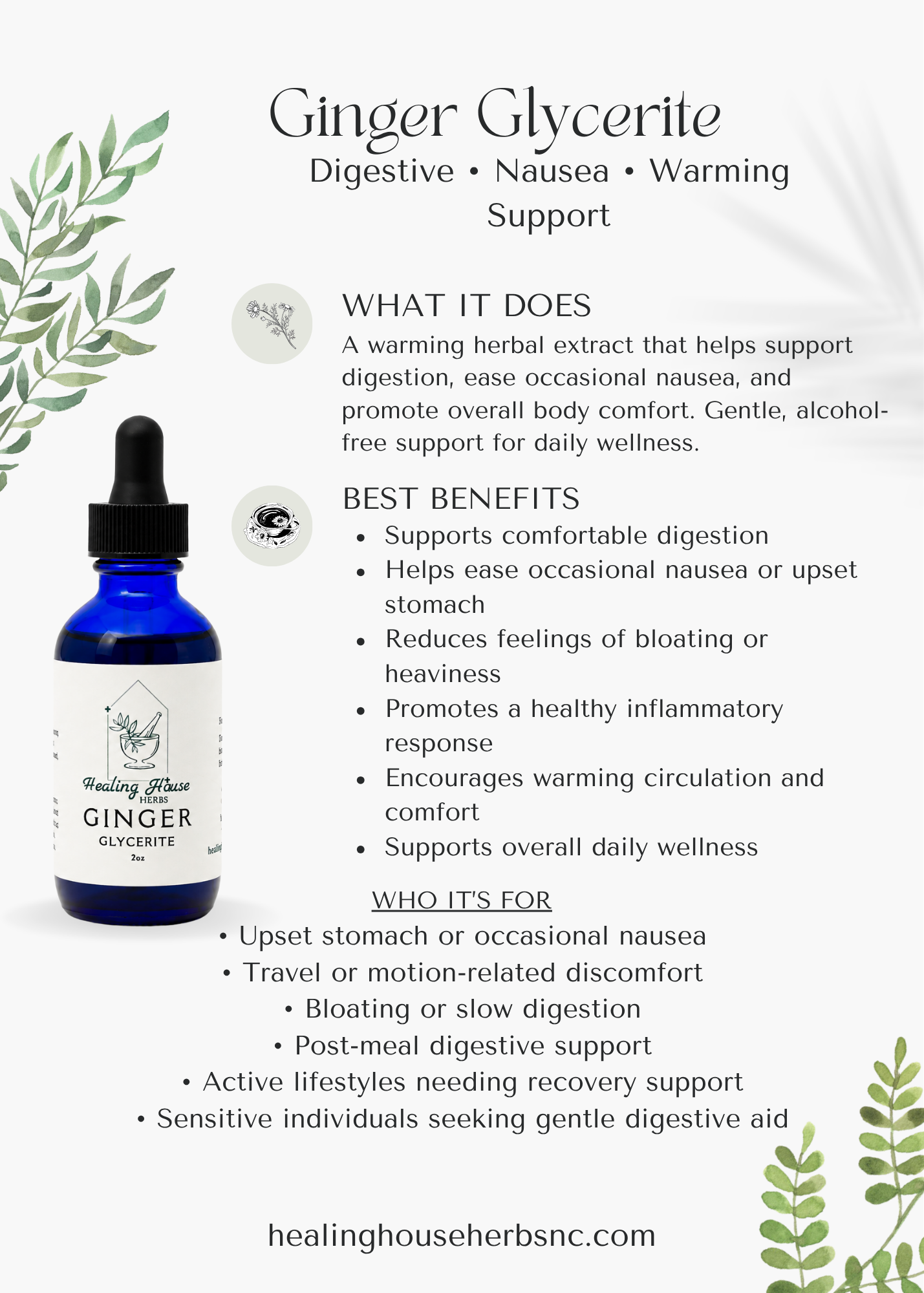 Ginger Glycerite