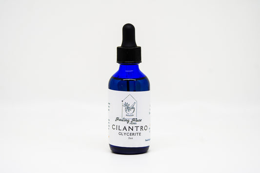 Cilantro Glycerite