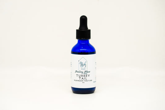 Turkey-Tail Mushroom Glycerite