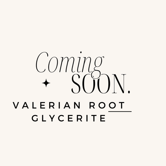 Valerian Root Glycerite