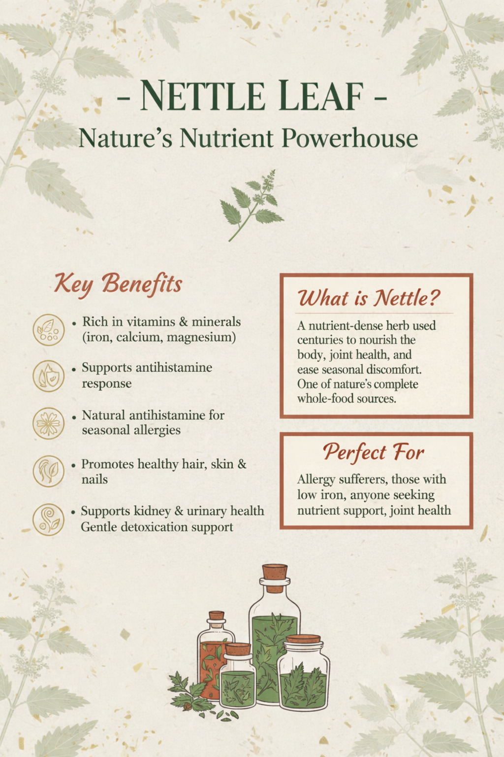 Nettle Leaf Glycerite