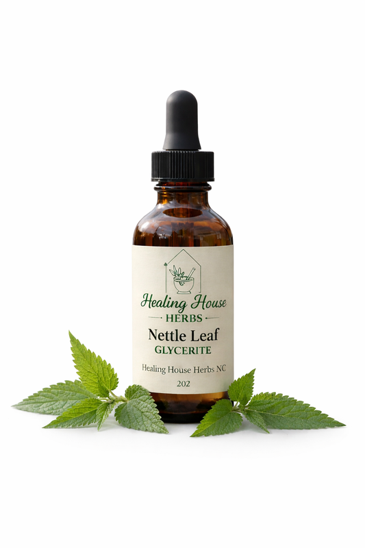 Nettle Leaf Glycerite