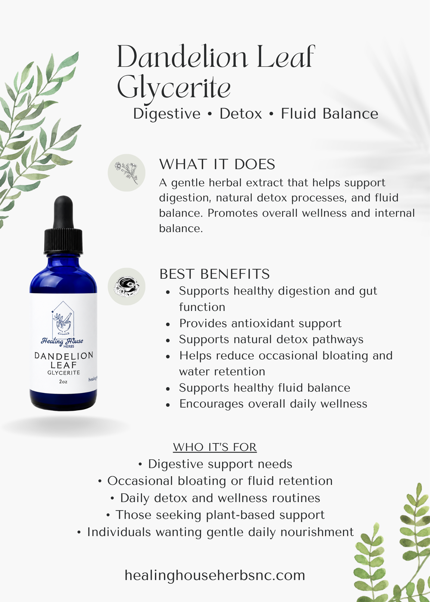 Dandelion Leaf Glycerite