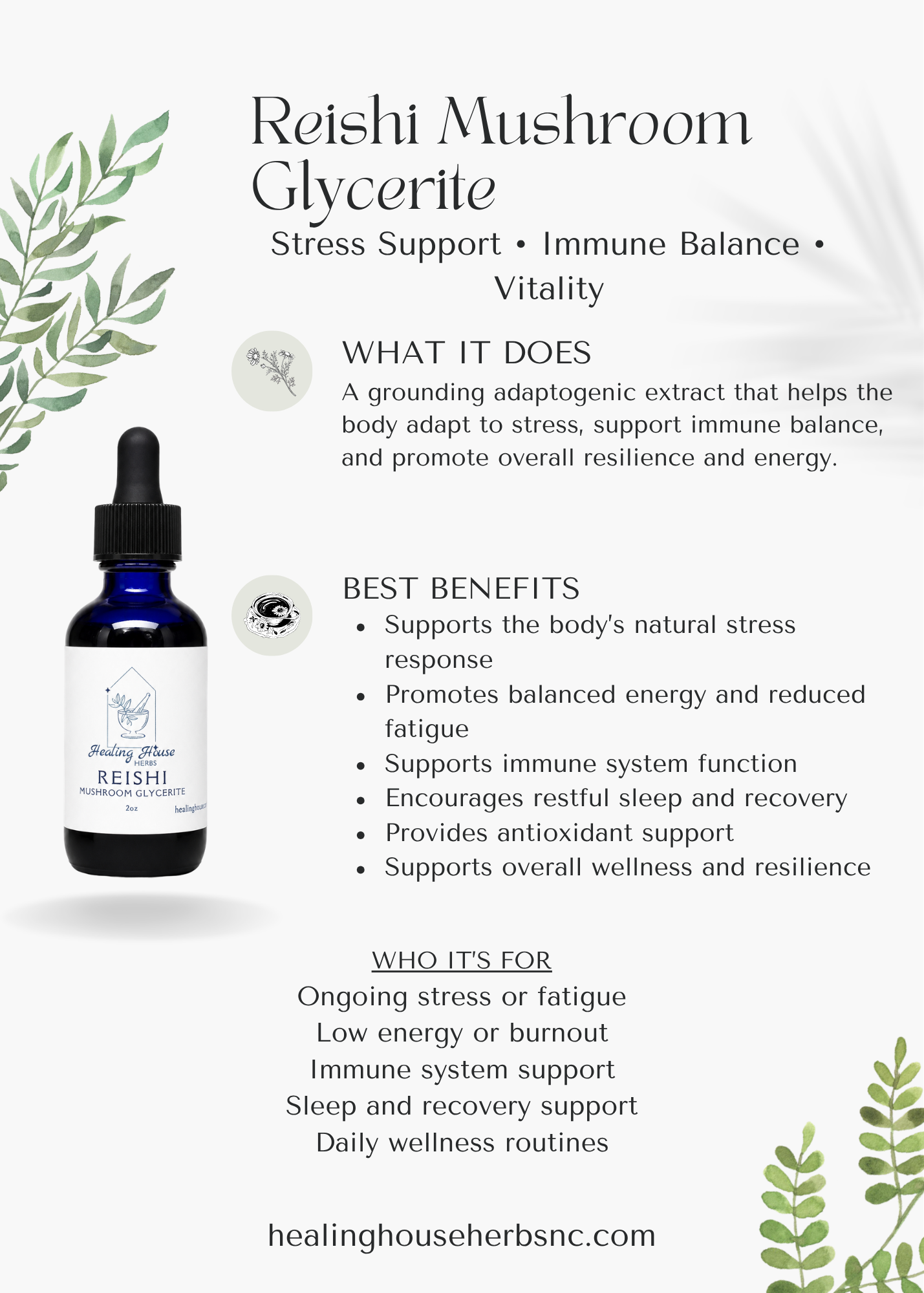 Reishi Glycerite