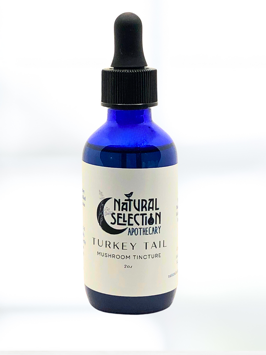 Turkey-Tail Mushroom Tincture