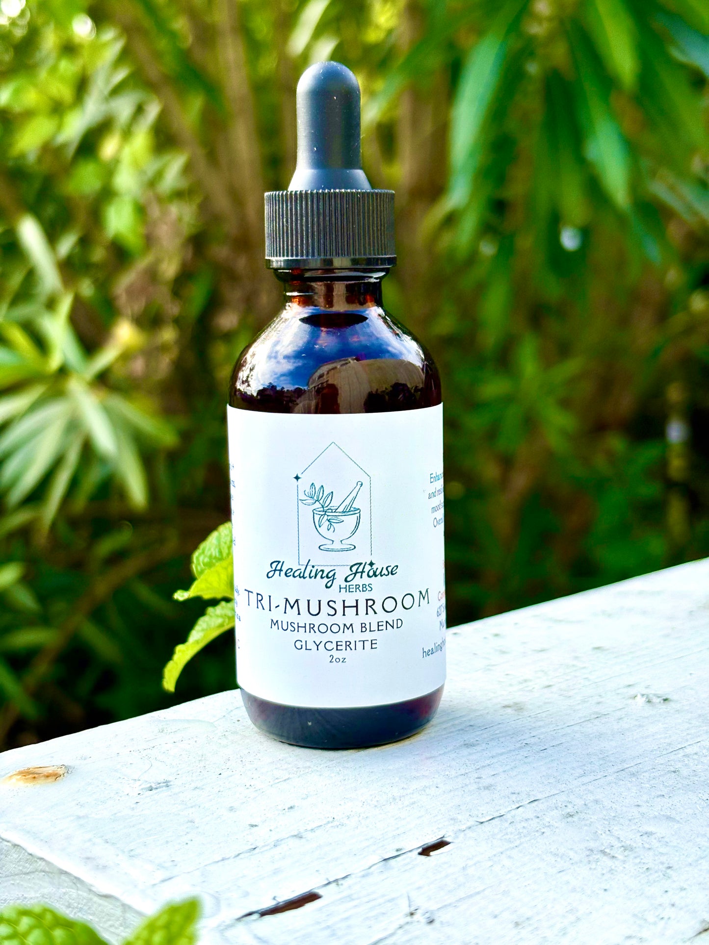 Tri-Mushroom Blend Glycerite