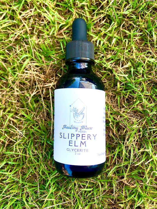 Slippery Elm Glycerite