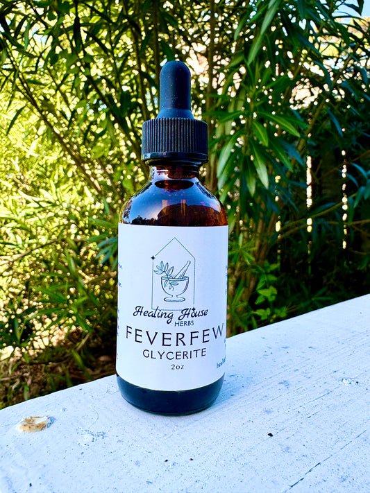 Feverfew Glycerite