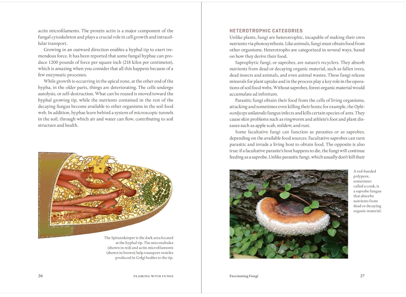 Teaming with Fungi: The Organic Grower's Guide to Mycorrhizae